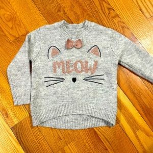 Kitten Fuzzy Sweater